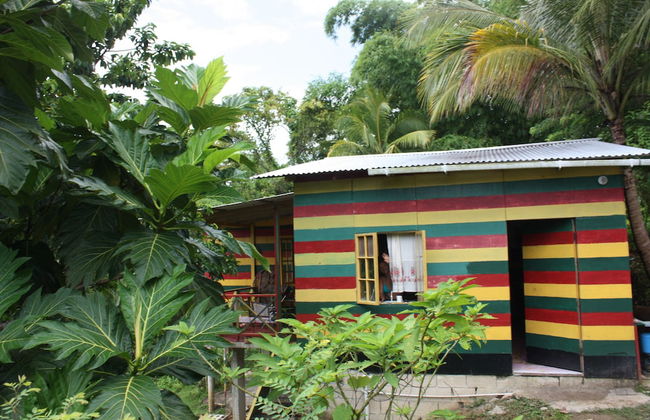 Nature in portland - Foto 19