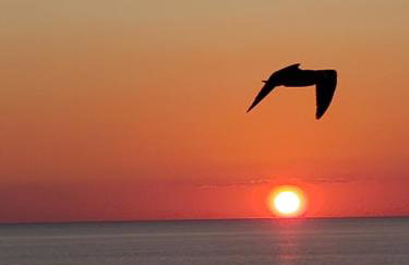 Romantic Beachfront Sunsets - Foto 43
