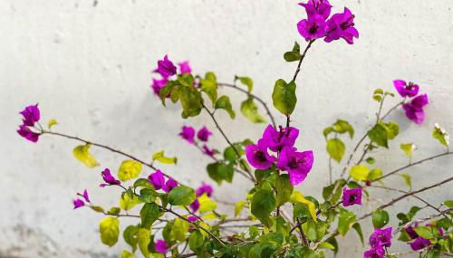 Casa La Mar. Relax y bonitas vistas Cala Palmeretes - Foto 2
