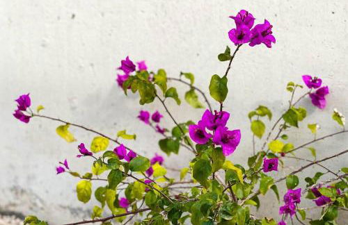 Casa La Mar. Relax y bonitas vistas Cala Palmeretes - Photo 2
