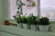 Casa Filó - Foto 23