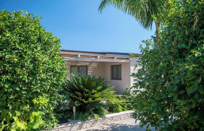 Agriturismo Terra dei Limoni - Foto 33