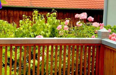 Ferienwohnungen Jowatzky Altkötzschenbroda - Foto 4