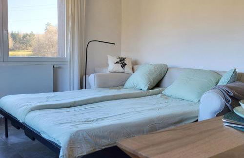 Coeurvert Calme en clairière - Ruhe in der Waldlichtung - Forest clearing stillness - Foto 64