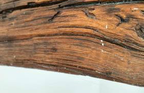 Agriturismo Le Crede 1930 - Foto 25