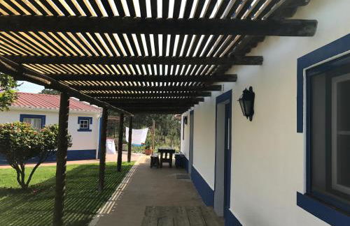 Monte Antonio Domingos - Foto 10