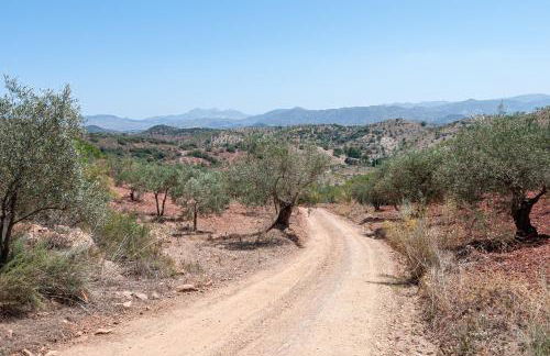 Sunset El Tejar - Foto 28