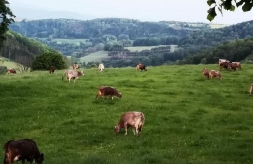 Ferienhaus Aschoff - Foto 34