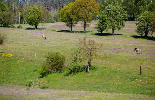 Przystań Łagówek - domki letniskowe - Foto 28