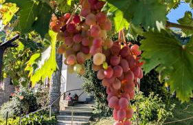 La Mansarda dei Tre Cipressi - Foto 32