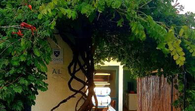 Conde Surf Camp - junto ao mar - entire pvt house - Foto 1, Garden, Garden view