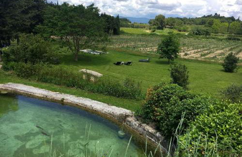 La Magnanerie - Foto 8