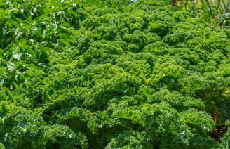 Casara Tres - 2 Dormitorios - Jardín y acceso Privado a la Playa - Foto 37