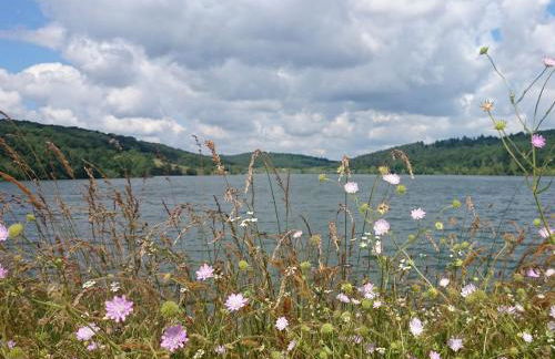 Gite campagne - Vue Pyrénées - Piscine - Photo 22