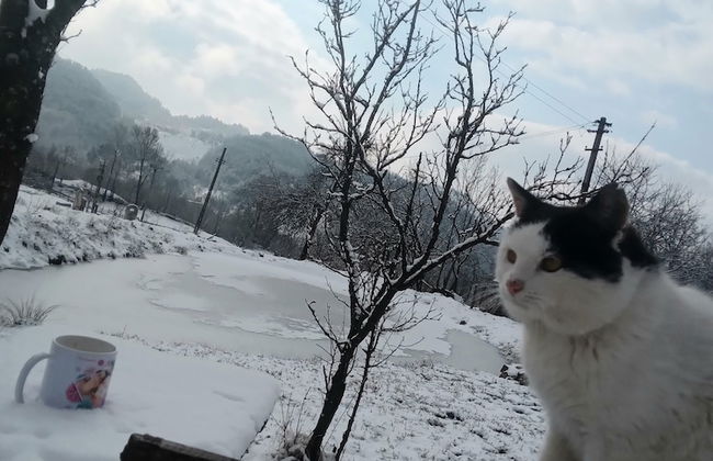 Room in Guest Room - Cozy Rural Retreat in Roşia Montana - Photo 35