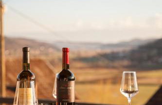 Guesthouse Maya**** - Foto 29