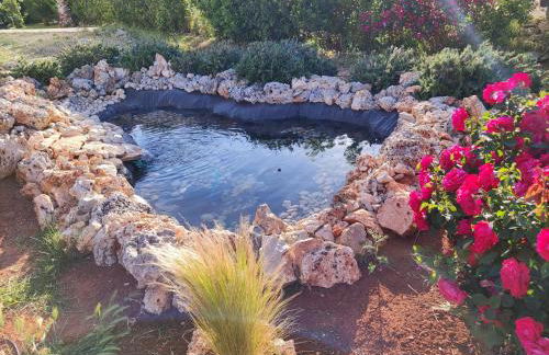 DIMORA SULLA COLLINA - Foto 20