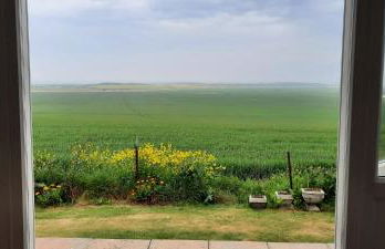 Shirls chalet in Sheppey, Leysdown - Foto 34