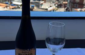 Vizion Mar Vidigal - Foto 11