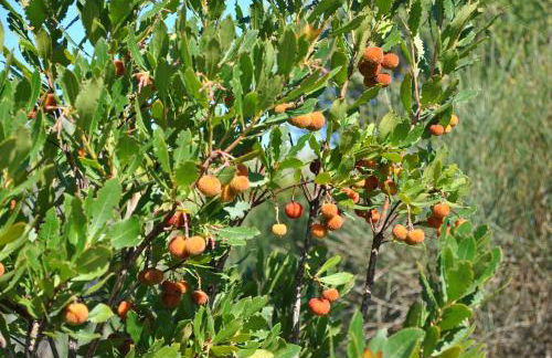 La Casa di Spinosella - Foto 33