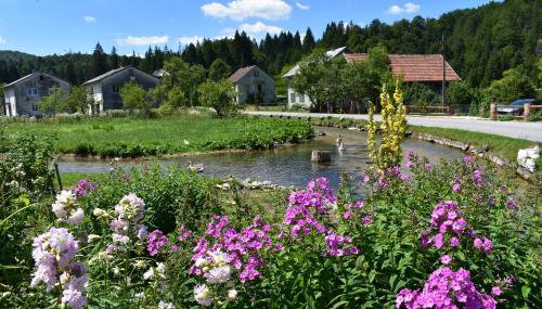 Plitvice Panta Rei - Foto 2, Garden, Garden view