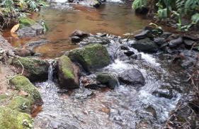 Chale brilho do sol - Foto 38