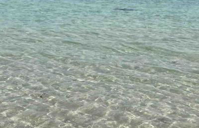 TY LOC POULFOEN - Foto 32