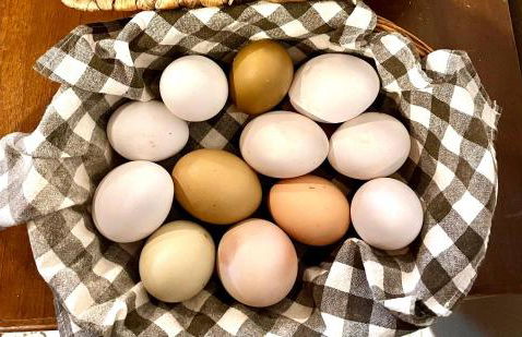 Agriturismo La Vecchia Chioderia - Foto 23