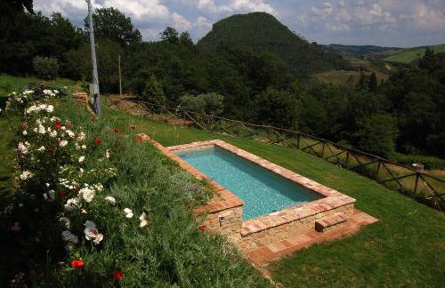 Podere Montaione - Foto 7