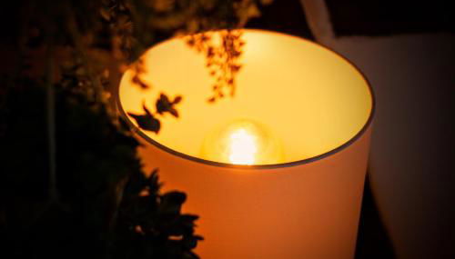 Cozy Farm - Das Fachwerkhaus voller Möglichkeiten - Foto 4