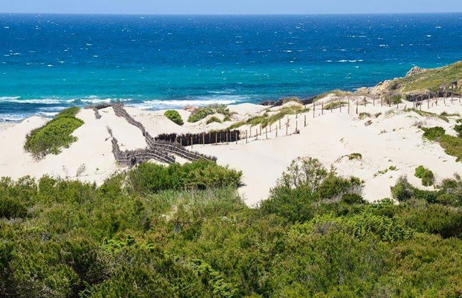 Bouganville - Foto 37