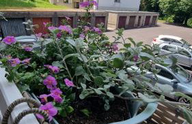 Apartment NADA - Foto 33