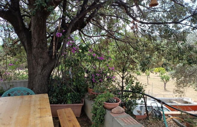 Always on Foot 3 min to the Beach Center With Double Terrace - Photo 25