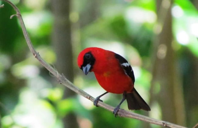 Finca Fuente De Vida - Foto 12