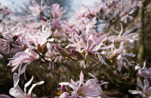 Peak District Home from Home! - Photo 26
