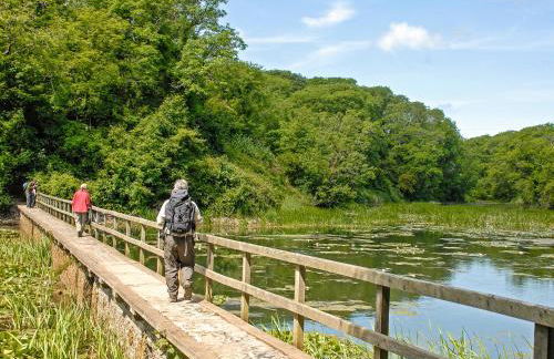 Beach House Cottage - Milford Haven - Foto 46