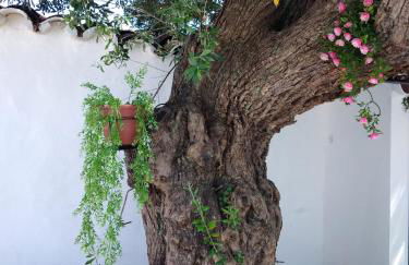 Casa da Avó Rita - Foto 32