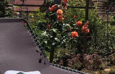 Ferienappartement Enzianshaus - Photo 38