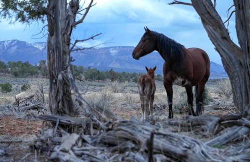 Stay Mesa Verde - Foto 25