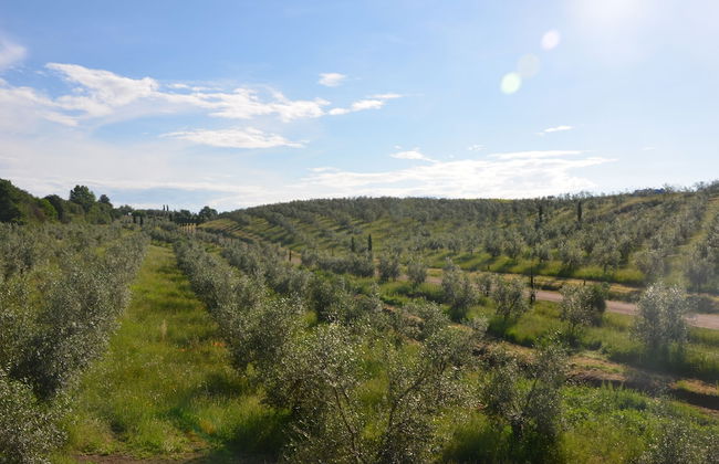 Il Podere di Marfisa - Foto 58