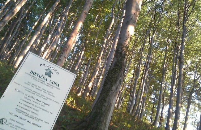 Vacation House Donacka Gora - Foto 17