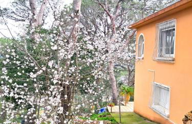 Aqui siem ben - Photo 47