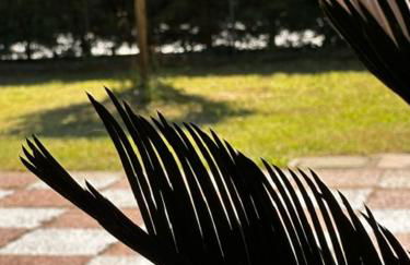 Casa Vacanza Indipendente Cascina Cremasca with pool - Foto 58