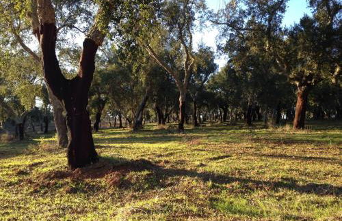 village loft - Foto 16