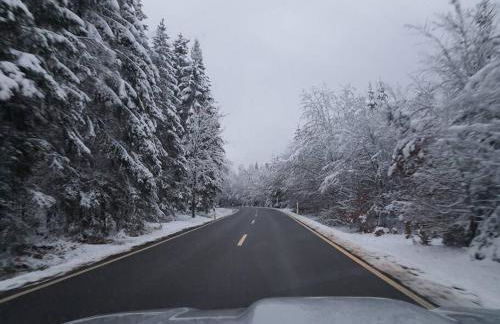 Holzhaus Chalet Nationalpark Eifel Hund willkommen - Foto 33