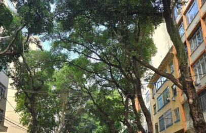 Aconchego Carioca - Foto 23