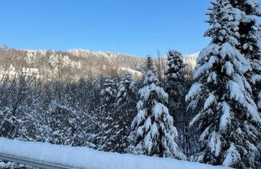 Apartament Kurort Kozubnik - Taras nad Potokiem - Foto 9