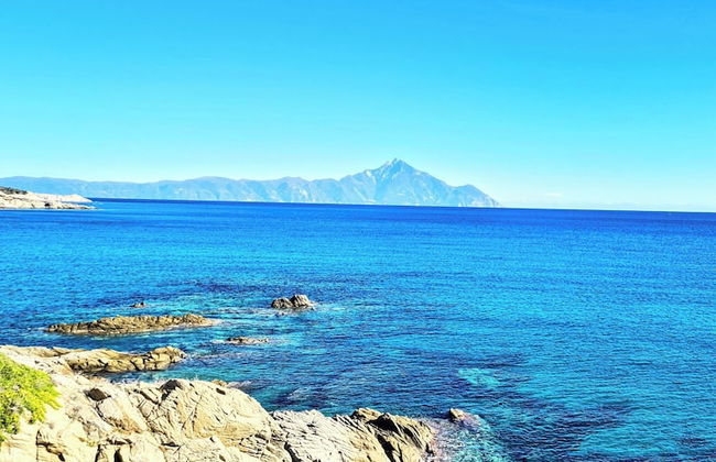 Ktima Amitsa - Foto 50