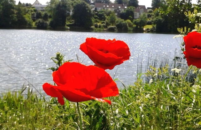 Chrissi's Baltic Sea Nest - Foto 17