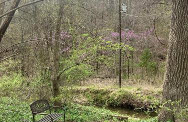 Sunnybrook Cabin, wooded, private with stream, near ATV trails - Foto 2